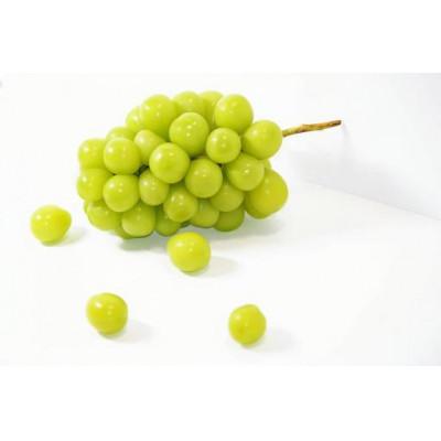 ふるさと納税 城里町 お中元シャインマスカットと巨峰桐箱入り2房(県内共通返礼品:かすみがうら市産)