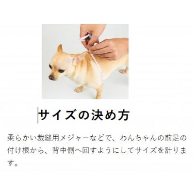ふるさと納税 八潮市 メガネハーネス【S+サイズ】プラチナグレー(本革製)kazama premiumの画像