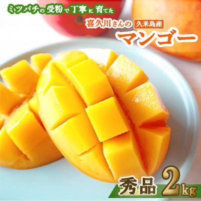 ふるさと納税 久米島町 [2026年7月から順次発送・秀品]自然受粉で育った喜久川さん自慢の完熟アップルマンゴー約2kg