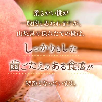 ふるさと納税 富士吉田市 【2026年先行受付】厳選 池田青果の大玉の桃 2kg(5玉〜7玉)の画像