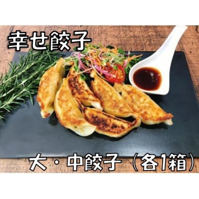 ふるさと納税 秦野市 幸せ餃子のこだわり大・中餃子(各1箱)