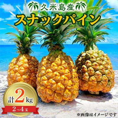 ふるさと納税 久米島町 [2026年6月中旬から順次発送]久米島産のスナックパイン2kg