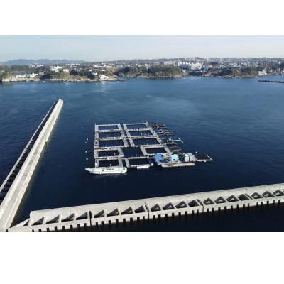 ふるさと納税 三浦市 「海上釣り堀みうら海王」無料招待券 一名様分(1回分) |  | 01