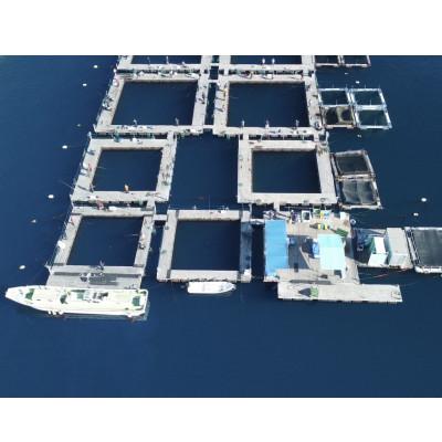 ふるさと納税 三浦市 「海上釣り堀みうら海王」無料招待券 一名様分(1回分) |  | 02