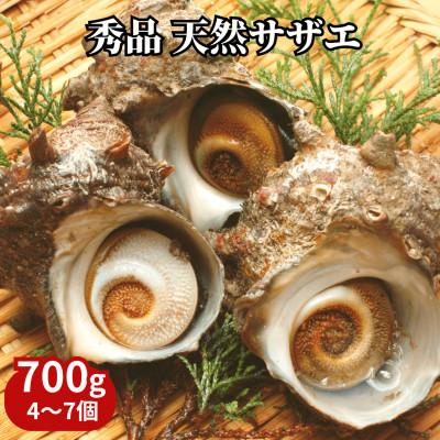 ふるさと納税 南知多町 秀品天然サザエ700g(大粒約4〜7コ)刺身・生食可・CAS冷凍で新鮮!