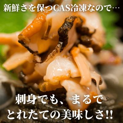 ふるさと納税 南知多町 秀品天然サザエ700g(大粒約4〜7コ)刺身・生食可・CAS冷凍で新鮮! |  | 01