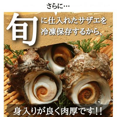 ふるさと納税 南知多町 秀品天然サザエ700g(大粒約4〜7コ)刺身・生食可・CAS冷凍で新鮮! |  | 02