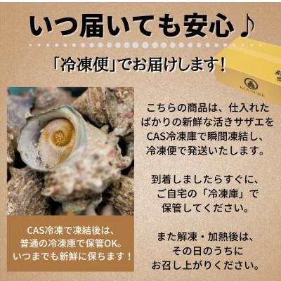 ふるさと納税 南知多町 秀品天然サザエ700g(大粒約4〜7コ)刺身・生食可・CAS冷凍で新鮮! |  | 03