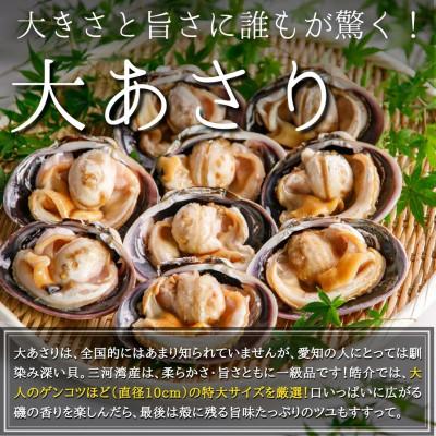 ふるさと納税 南知多町 海鮮バーベキューセット1kg(大あさり500g&サザエ500g)大アサリ専用だし醤油付き |  | 01