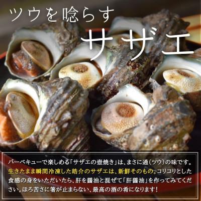 ふるさと納税 南知多町 海鮮バーベキューセット1kg(大あさり500g&サザエ500g)大アサリ専用だし醤油付き |  | 02