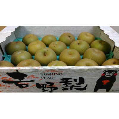 ふるさと納税 八代市 秋月梨 ご家庭用 約5kg 7〜22玉(八代市)