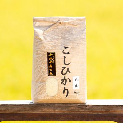 ふるさと納税 南魚沼市 [数量限定][わけあり][令和6年産 新米]南魚沼産コシヒカリ(白米5kg)新潟県の美味しいお米