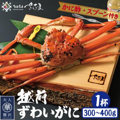 ふるさと納税 越前町 浜茹で越前ずわい約300〜400g 1杯 かに酢&amp;かにスプーン付き