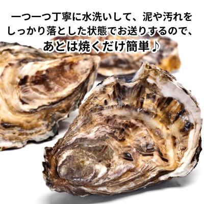 ふるさと納税 南知多町 特上・篠島の殻付き真牡蠣700gセット(生食用かき・CAS冷凍カキ)海鮮バーベキューBBQ、浜焼きに_2