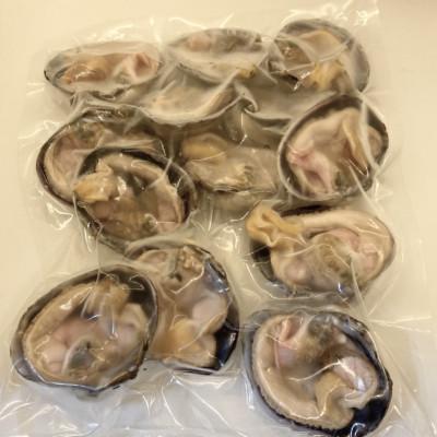 ふるさと納税 南知多町 三河湾の大アサリ12切(約1kg)活きたままCAS冷凍・下処理済・海鮮BBQに! |  | 01