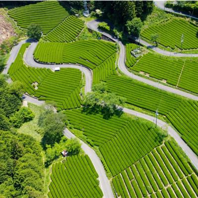 ふるさと納税 津野町 銘茶の里　四万十川源流茶〈水出し冷茶〉ティーバッグ(10g×30P)×2個 |  | 01