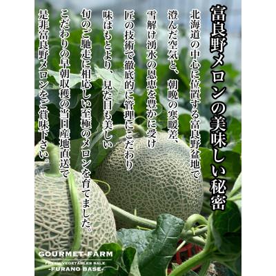 ふるさと納税 富良野市 【2027年発送先行受付】富良野メロン(赤肉)秀品ティアラ1.6kg/2玉入 |  | 03