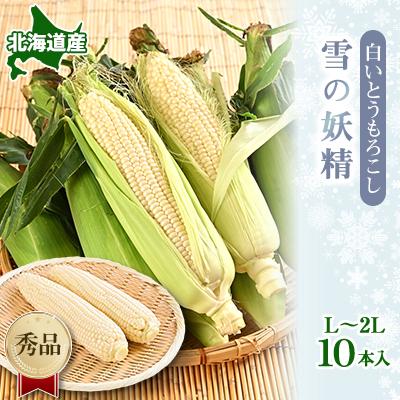 ふるさと納税 富良野市 朝採り 白いとうもろこし「雪の妖精」秀品 北海道富良野産 L〜2L 10本入