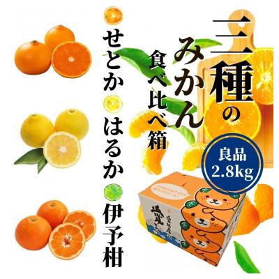 ふるさと納税 松山市 [三種のみかん食べ比べ箱]せと・はるか・宮内伊予柑 (良品)約2.8kg&lt;2026年2月頃より発送&gt;