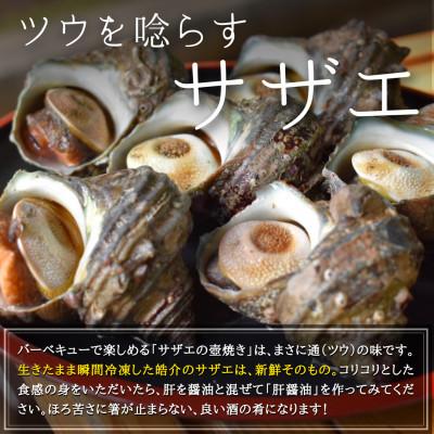 ふるさと納税 南知多町 秀品サザエ1kg+蝦夷アワビ3コの贅沢海鮮バーベキューセット詰め合わせ(活きたままCAS冷凍) |  | 01