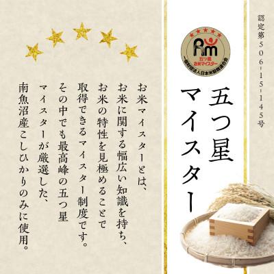 ふるさと納税 南魚沼市 氷温熟成南魚沼産こしひかり パックご飯180g×48