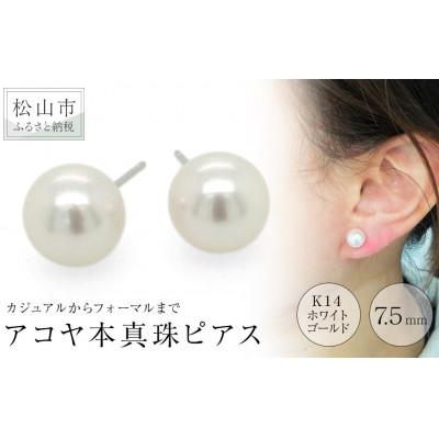 ふるさと納税 松山市 K14ホワイトゴールド 天然アコヤ真珠 7.5mm 一粒 ピアス