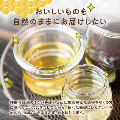 ふるさと納税 北見市 【国産蜂蜜】はちみつ食べ比べセット450gパッカー容器2本(白花豆蜂蜜、百花蜂蜜)の画像