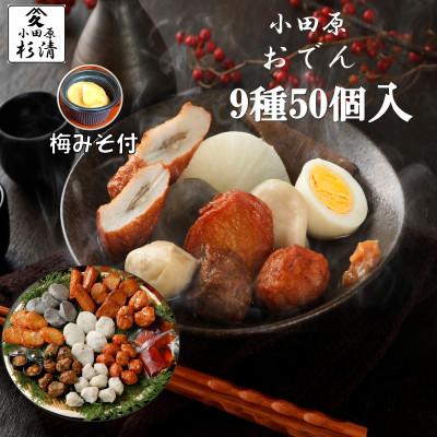 ふるさと納税 小田原市 小田原おでん 9種50個入り (106大)