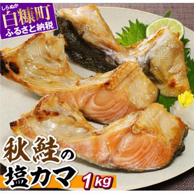 ふるさと納税 白糠町 定塩秋鮭のカマ[1kg]