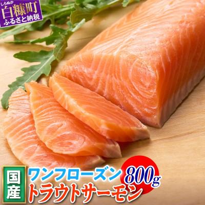 ふるさと納税 白糠町 国産プレミアムワンフローズントラウトサーモン[800g]