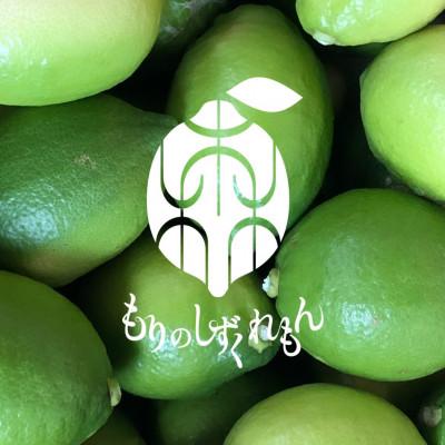 ふるさと納税 松山市 もりのしずくれもん(国産レモン)3kg (1.5kg2箱)