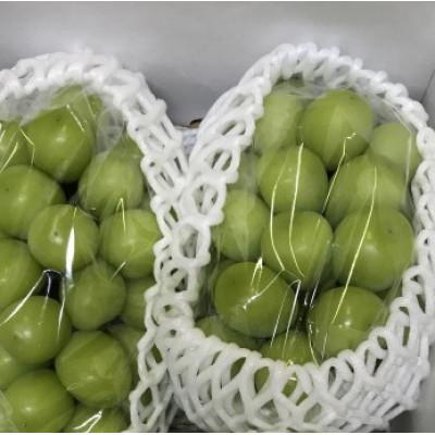 ふるさと納税 村山市 村山市産 シャインマスカット約1.3kg