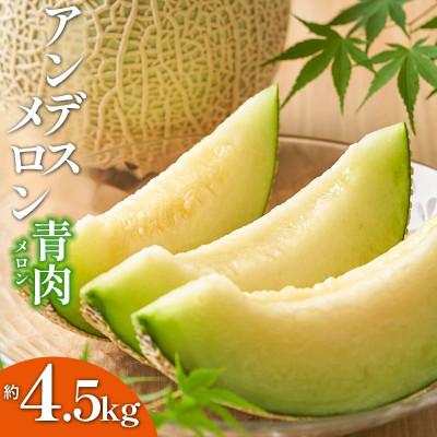 ふるさと納税 鶴岡市 [山形県産] 御殿まりメロン(青肉)(アンデスメロン) 約4.5kg(3玉〜5玉)