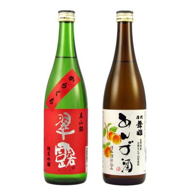 ふるさと納税 諏訪市 翠露・舞姫 こだわり信州セット