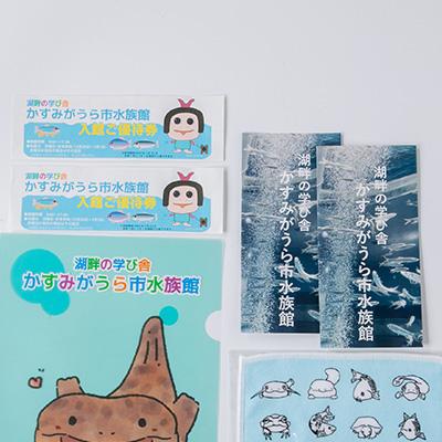 ふるさと納税 かすみがうら市 かすみがうら市水族館優待券とオリジナルハンカチ&クリアファイル |  | 01