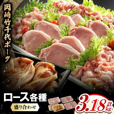 ふるさと納税 岡崎市 岡崎竹千代ポークロース各種 盛り合わせ(計3.18kg)