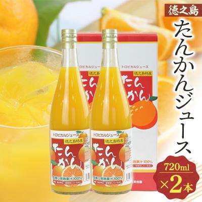 ふるさと納税 伊仙町 たんかんジュース2本セット