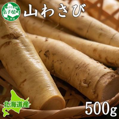 ふるさと納税 弟子屈町 [のし付] 天然 山わさび 500g前後 産地直送 北海道 弟子屈町 3166