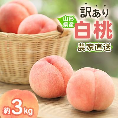 ふるさと納税 中山町 令和8年産 先行受付 農家直送「白桃」約3キロ 訳あり ご家庭用[離島配送不可]