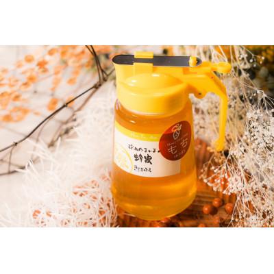 ふるさと納税 大垣市 [国産]くろがねもちはちみつ 450g パッカー容器