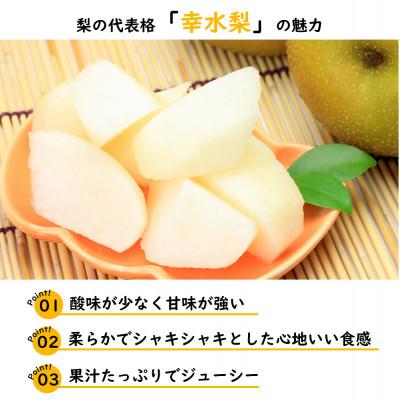 ふるさと納税 島原市 【2027年7月下旬より順次発送】中島農園の幸水梨 約5kg(10玉〜16玉)(島原市) |  | 02