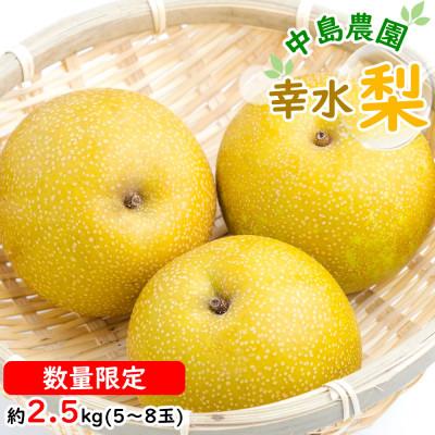 ふるさと納税 島原市 [7月下旬より順次発送]中島農園の幸水梨 約2.5kg(5玉〜8玉)(島原市)