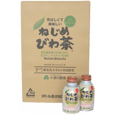ふるさと納税 南大隅町 ねじめびわ茶 ボトル缶[1ケース](24本入り)