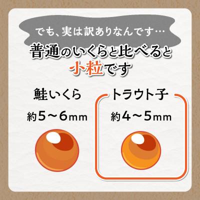 ふるさと納税 白糠町 【訳あり】ひめしずく 400g(200g×2) いくら醤油漬け 小分けパック |  | 02