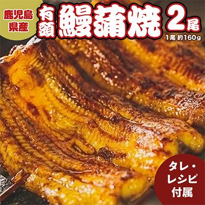 ふるさと納税 牛久市 鹿児島県産うなぎ蒲焼 約160g×2尾