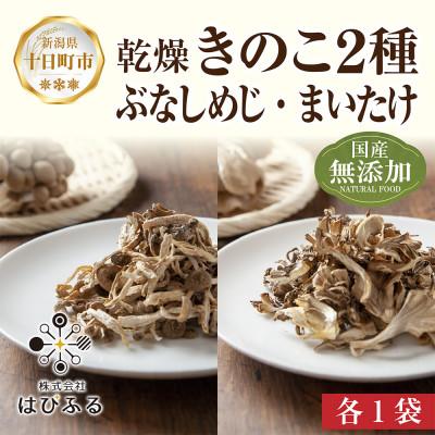 ふるさと納税 十日町市 はぴふるの国産乾燥きのこ 2種 ぶなしめじ 30g まいたけ 30g 各1袋 新潟県十日町市