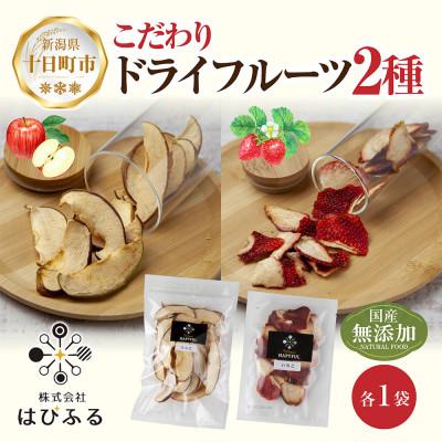 ふるさと納税 十日町市 はぴふるのドライフルーツ 2種 りんご いちご 計2袋 新潟県十日町市