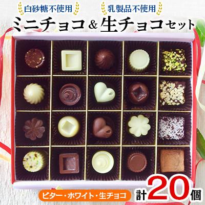ふるさと納税 綾町 白砂糖不使用ミニチョコ・乳製品不使用生チョコセット(20個入り)