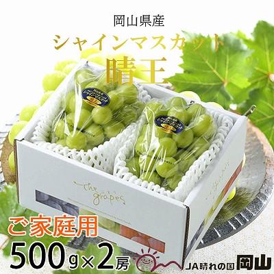 ふるさと納税 井原市 [2026年8月下旬より順次発送]ご家庭用 岡山県産 シャインマスカット 晴王 500g×2房