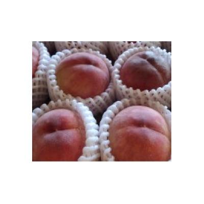 ふるさと納税 飯田市 [クール便]桃 あかつき 大玉 糖度13度以上 5〜6個